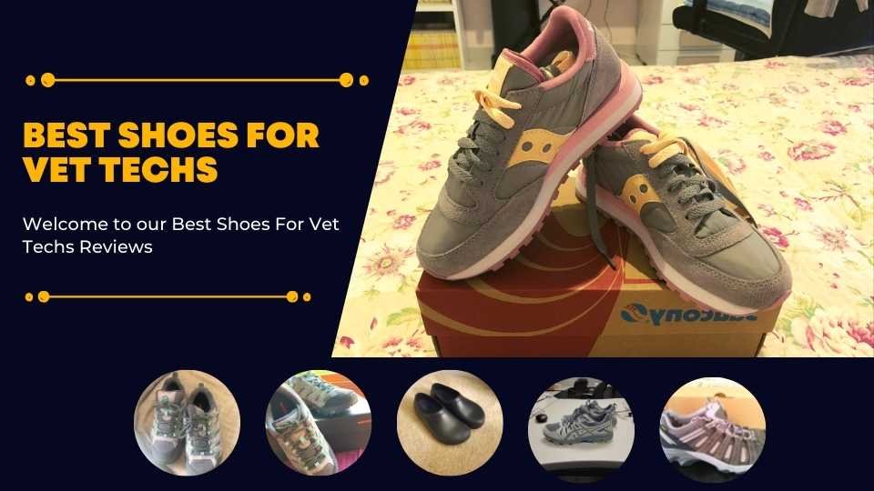 Best Vet Tech Shoes (Full Reviews & Helpful Info)
